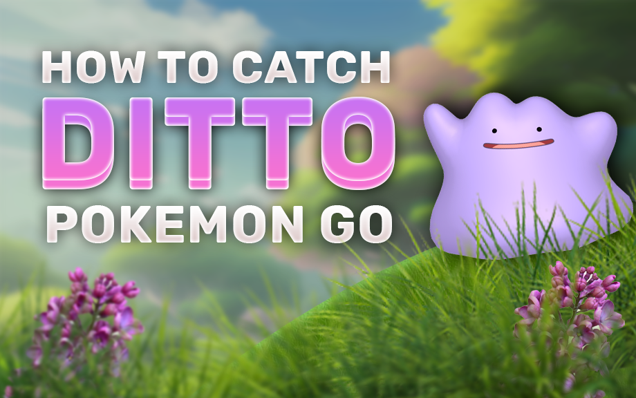 how-to-catch-ditto-thumbnail.png